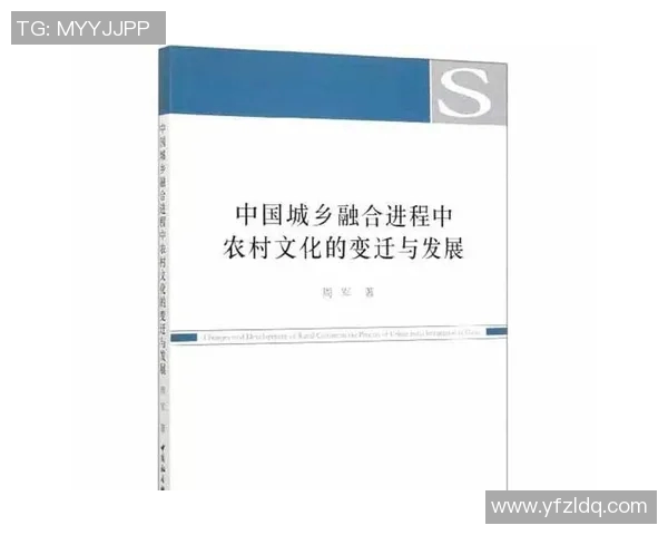 从2008年到2020年中国社会变迁的深刻影响与启示