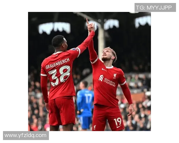 埃弗顿与狼队对决前瞻及比分预测分析，谁将赢得这场关键战役