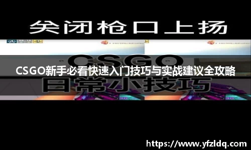 CSGO新手必看快速入门技巧与实战建议全攻略