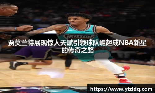 3亿体育官网