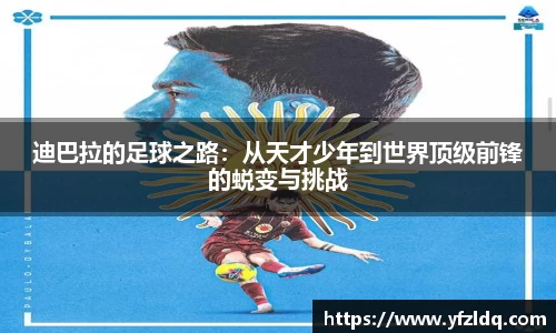 三亿体育