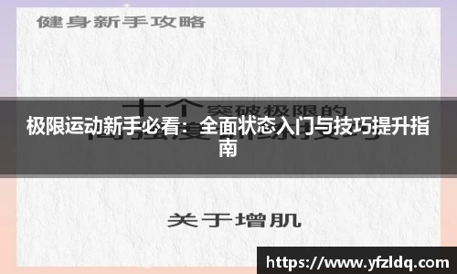 3亿体育官网