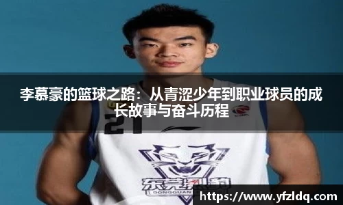 3亿体育官网