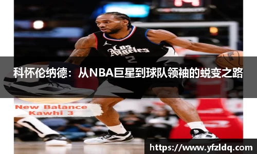 3亿体育官网