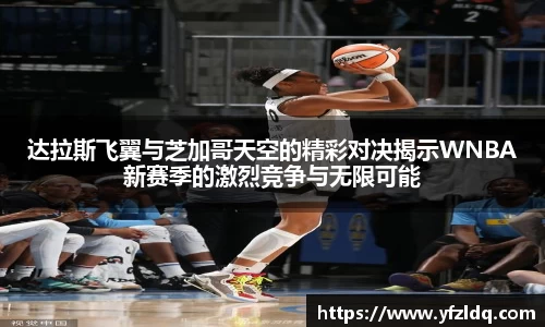 三亿体育官网